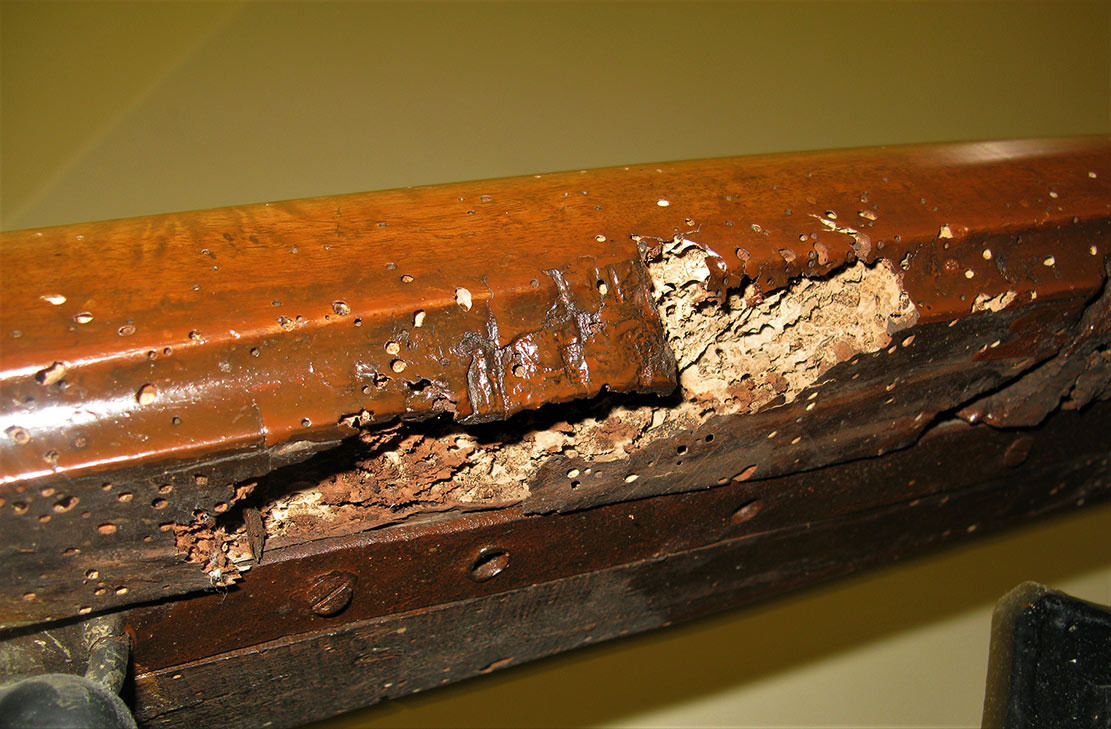 Daños causados por carcoma en madera